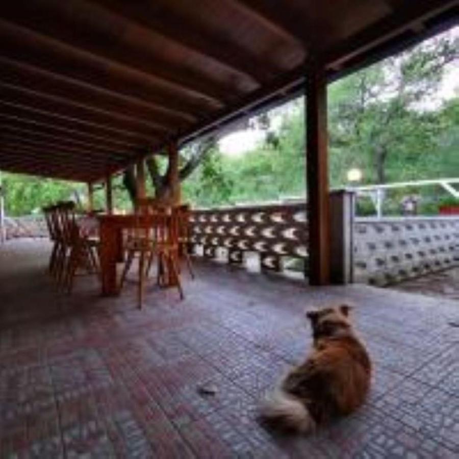 B&B&Beer Cassano delle Murge Dış mekan fotoğraf